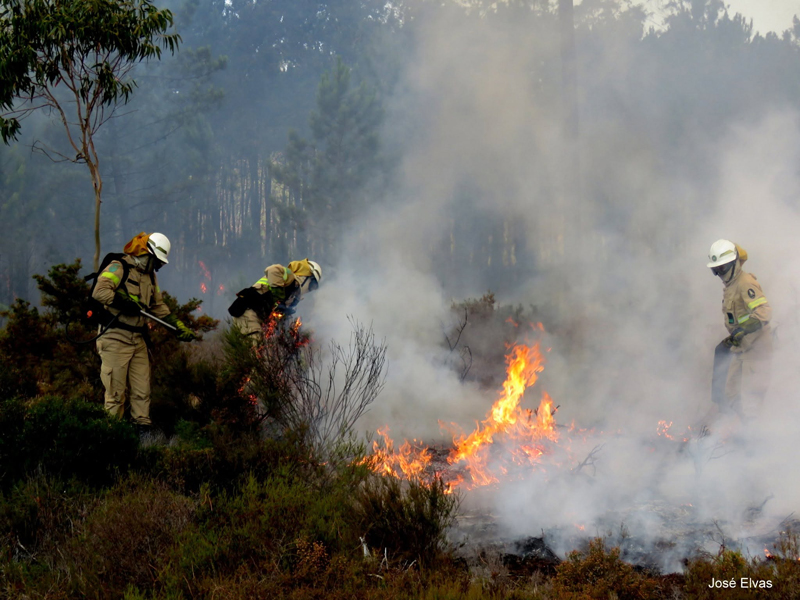 Resposta com meios aéreos e terrestres travou incêndio que esteve perto de habitações